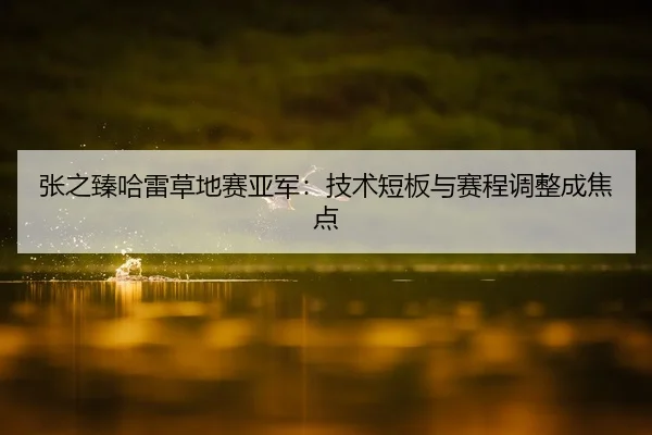 张之臻哈雷草地赛亚军：技术短板与赛程调整成焦点