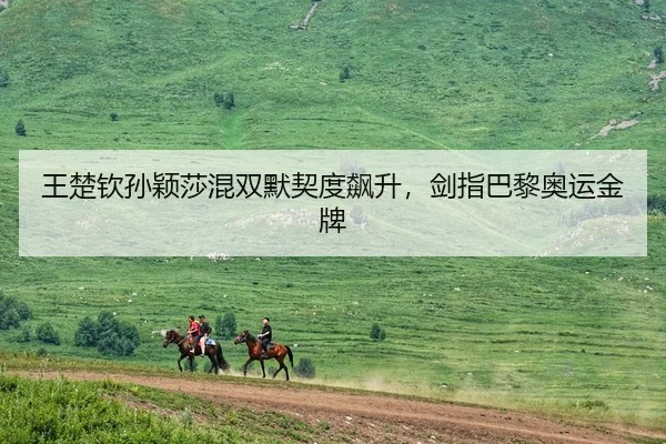 王楚钦孙颖莎混双默契度飙升，剑指巴黎奥运金牌